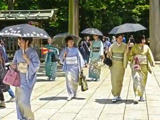 100 Butterflies in Japan — free online game