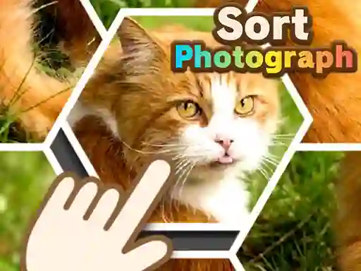 Sort Photograph – ingyenes online játék