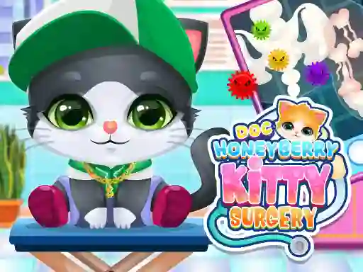 Doc HoneyBerry Kitty Surgery — free online game