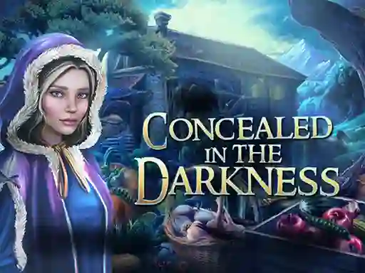 Concealed in the Darkness — free online game
