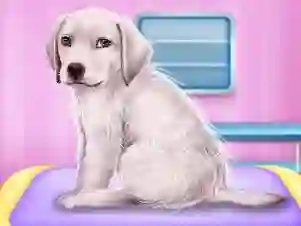 თამაში Labrador at the doctor salon     ონლაინ