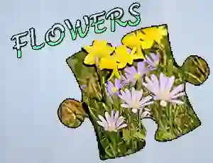 Jigsaw Puzzle: Flowers — free online game