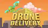 Drone Delivery  — free online game