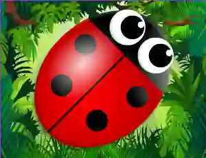 Bug Match — free online game
