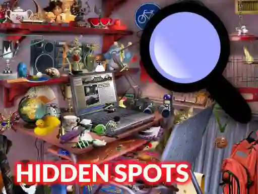 Spel Hidden Spots In The Room online
