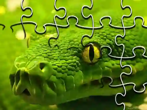 Snakes Jigsaw Puzzle — jogo online grátis