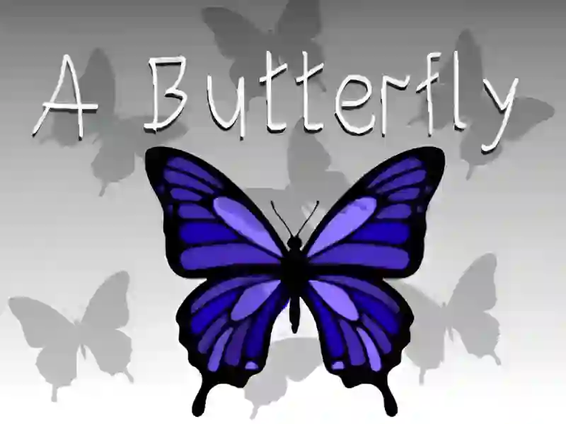 A Butterfly