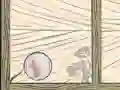 Bubble quod