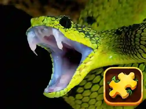 Snake Puzzle Challenge — darmowa gra online