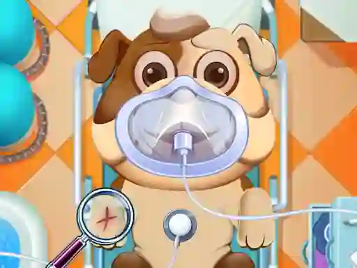 Animal Daycare — free online game