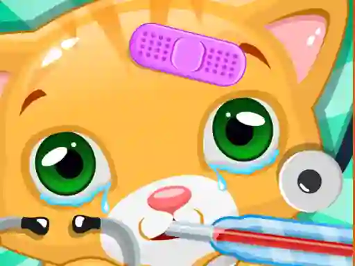 Little Cat Doctor — free online game