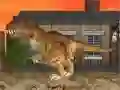 LA Rex 