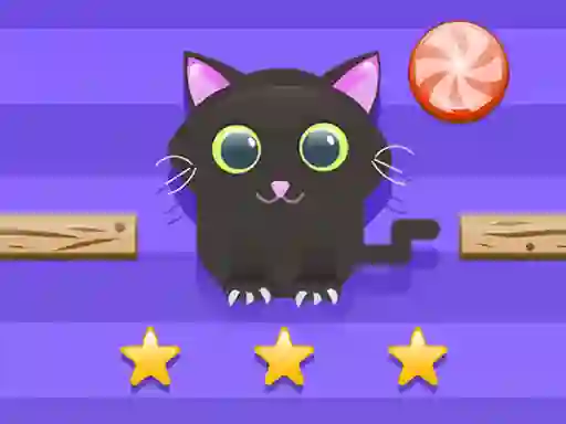 Cat Challenge — free online game