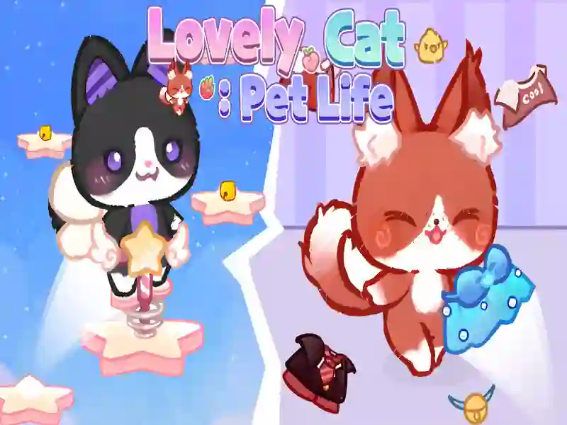 Lovely Cat Pet Life