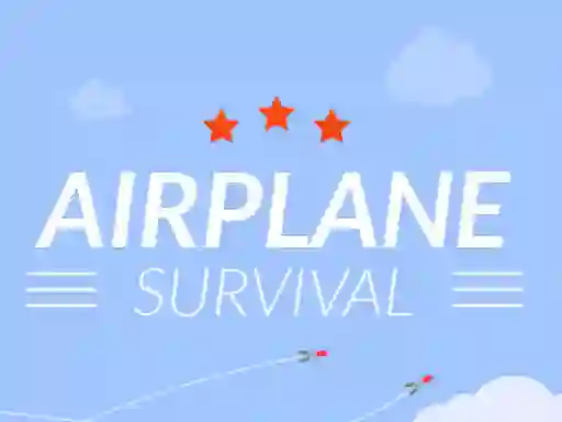 Airplane Survival — free online game