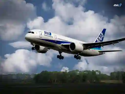 Boeing Dreamliner Puzzle — free online game