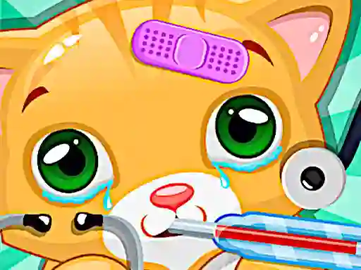 Doctor Pets — free online game
