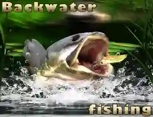 Backwater Fishing — free online game