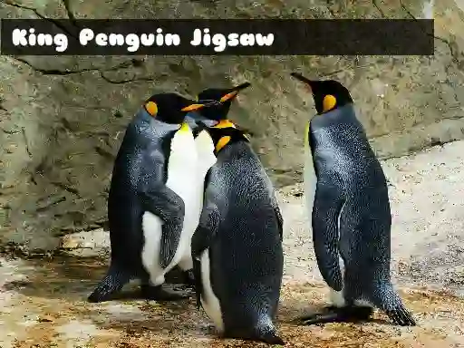 King Penguin Jigsaw — free online game