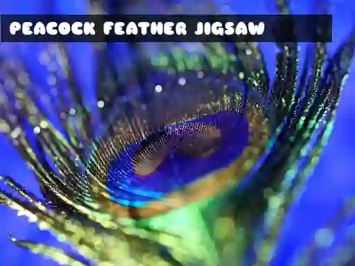 Peacock Feather Jigsaw