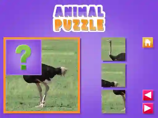 Animal Puzzle — free online game