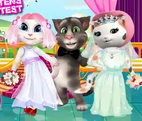 White Kittens Bride Contest — free online game
