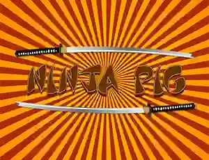 Ninja Pig  — free online game
