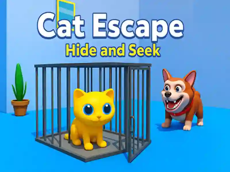 Cat Escape Hide and Seek
