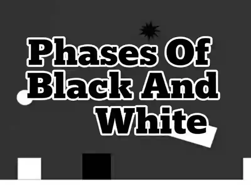 Phases Of Black And White