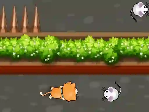 Cat Trap Labyrinth Escape — free online game