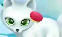 Paws to Beauty Arctic Edition — free online game