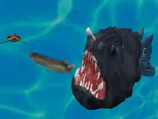 Fish 3d — free online game