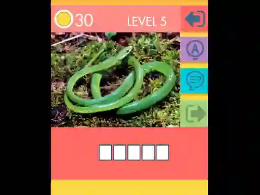 15 Picture Quiz — free online game