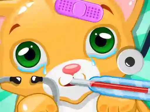 Mchezo Kitty Doctor online