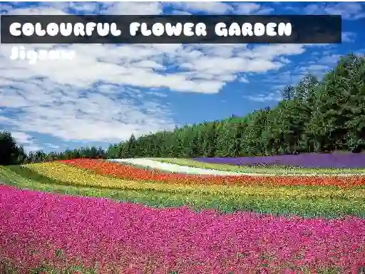 Colourful Flower Garden Jigsaw — free online game