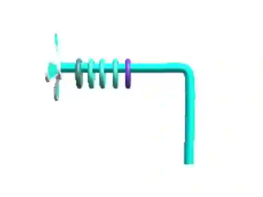 Ring Winner — free online game