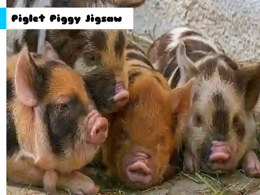 Piglet Piggy Jigsaw — free online game
