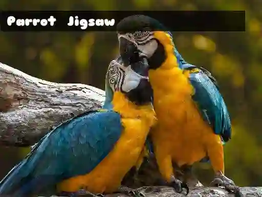 Parrot Jigsaw — безкоштовна онлайн гра