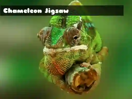 Chameleon Jigsaw — free online game