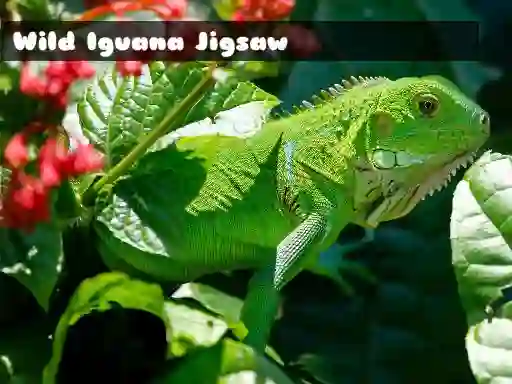 Spil Wild Iguana online