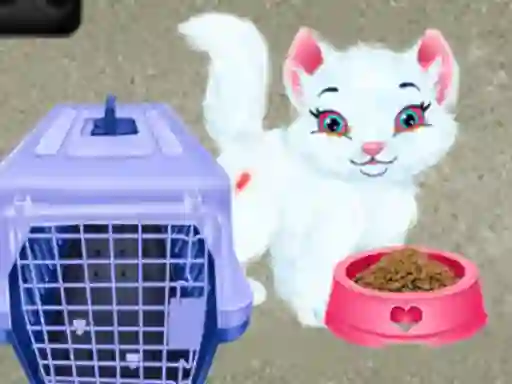 Baby Taylor Pet Care — free online game