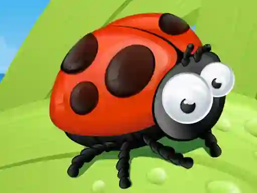 Ladybug Slide — free online game