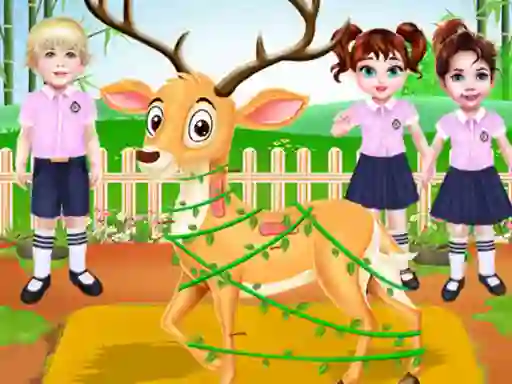 Baby Taylor Wild Animal Doctor — free online game