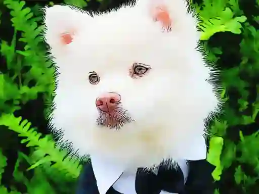 Funny Baby Animals — free online game
