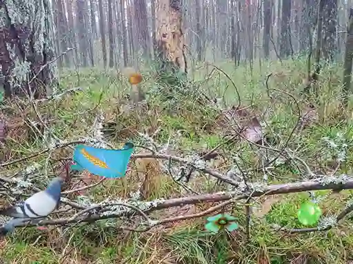 Gêm Bernati Forest Adventure ar-lein