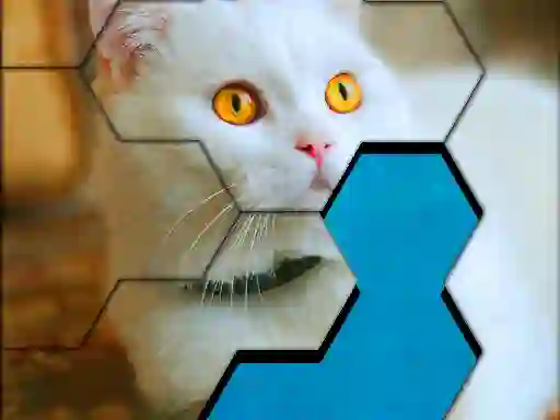 Blocks Hexa Jigsaw Puzzle™ — free online game