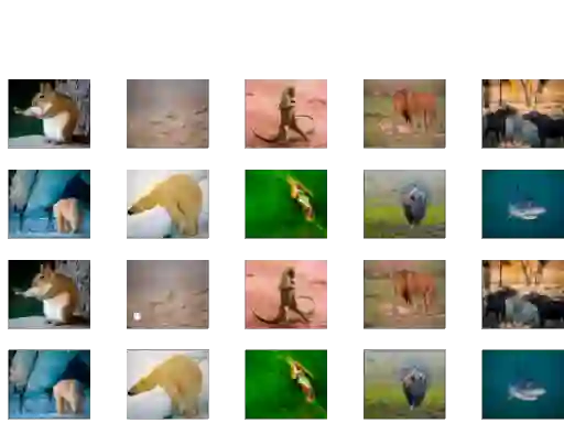 Animal Memory — free online game