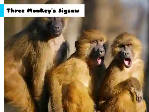 Three Monkey's Jigsaw — free online game