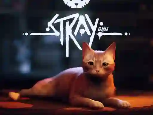 Stray — free online game