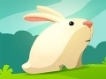 Greedy Rabbit